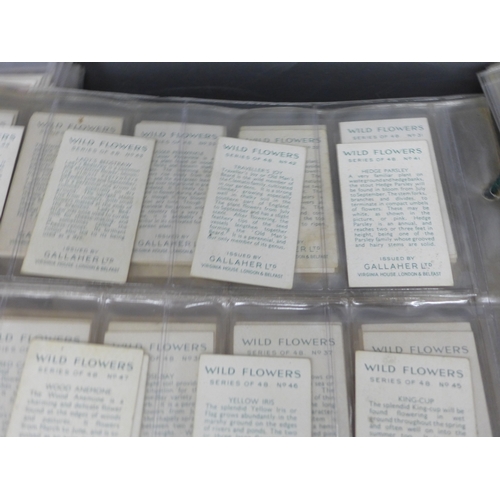 2046 - Collection of assorted cigarette card sets to include; Churchman Howlers series of 16 large cards, J... 