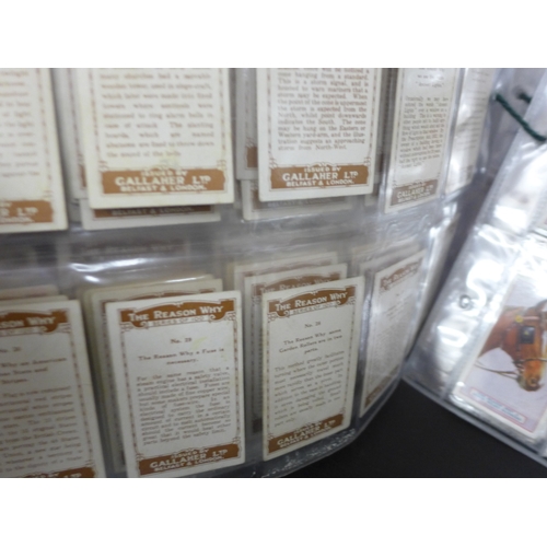 2046 - Collection of assorted cigarette card sets to include; Churchman Howlers series of 16 large cards, J... 