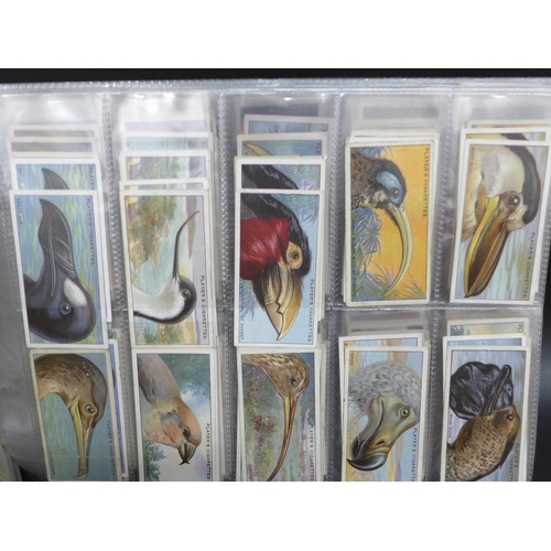 2046 - Collection of assorted cigarette card sets to include; Churchman Howlers series of 16 large cards, J... 