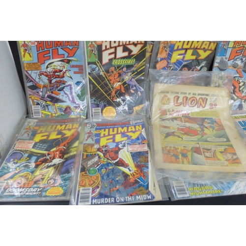 2048 - Twelve Marvel 1970s Human Fly comics and a Lion 1950s comic