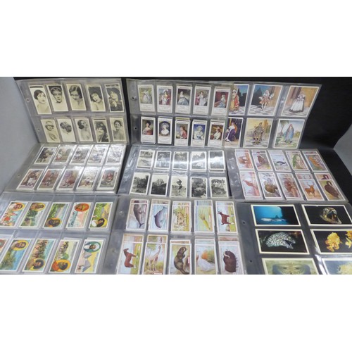 Lot 2045      