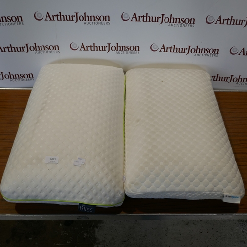 6019 - A Snuggledown bliss bamboo memory foam pillow and a Sleep Renew memory foam cooling pillow,  (394-92... 