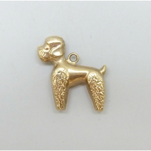 7007 - A yellow metal dog charm in the form of a poodle, 1.6g, 2.1 x 2cm