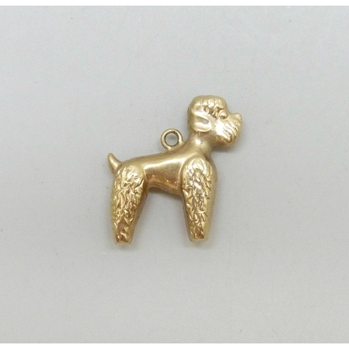 7007 - A yellow metal dog charm in the form of a poodle, 1.6g, 2.1 x 2cm