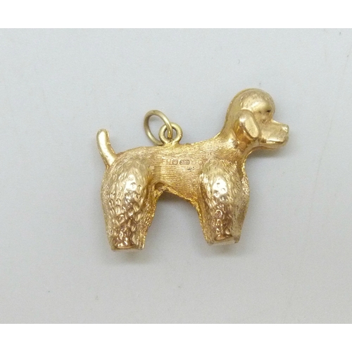 7015 - A 9ct gold dog charm in the form of a poodle, hallmarked, 2g, 2.3cm