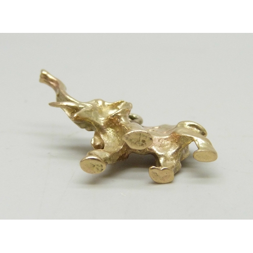 7019 - A 9ct gold charm in the form of an elephant, hallmarked, 5.3g, 2.4cm