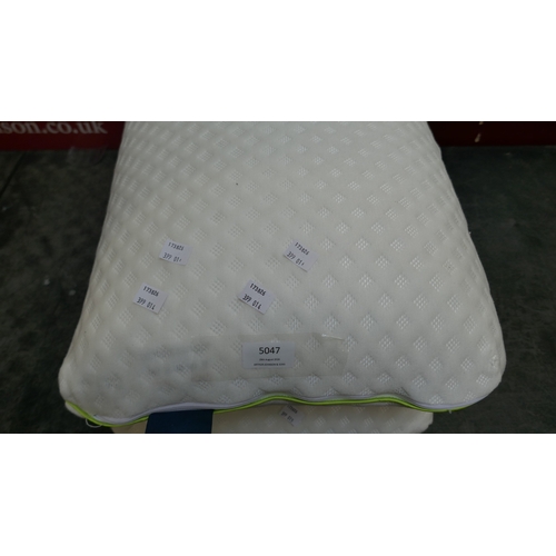 5047 - Two Snuggledown Bliss bamboo memory foam pillows (399-14,15) *This lot is subject to VAT