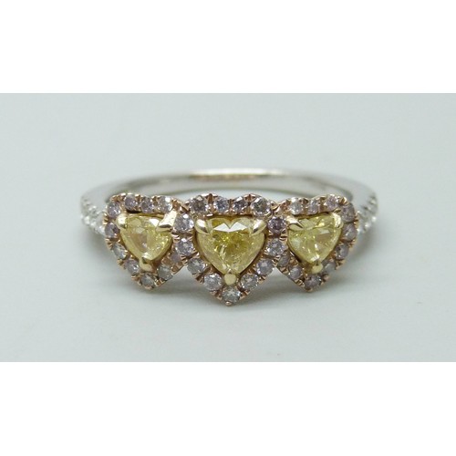 Lot 7025      