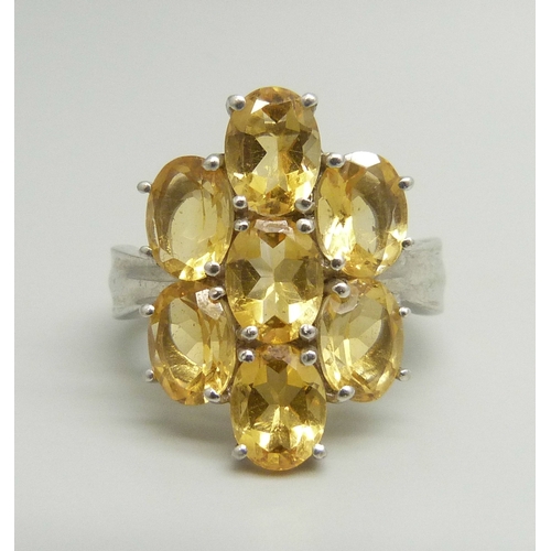 Lot 7031      