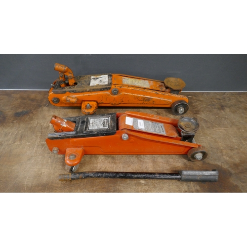 Lot 5003      