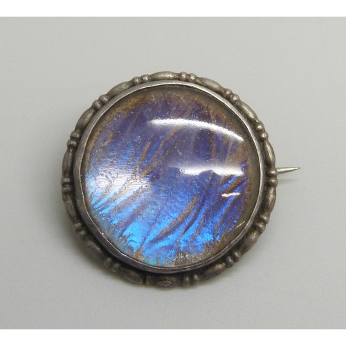 Lot 7051      