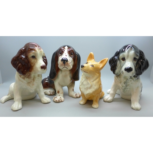 Lot 2035      