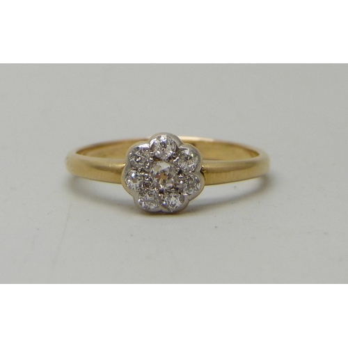 Lot 7005      