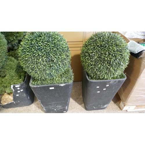 Lot 6055      