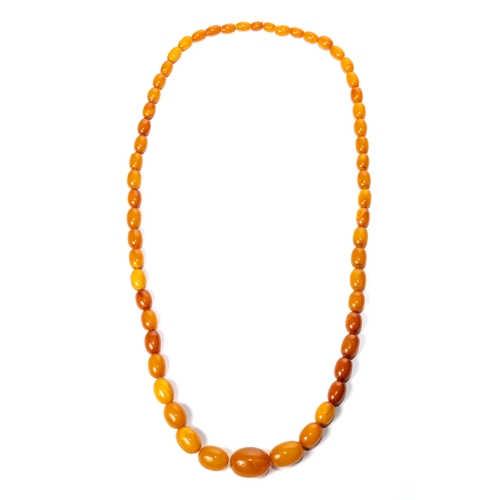 24 - A single row amber necklace, with graduated oval beads approx 8mm to 20mm, gross weight approx 32.7g