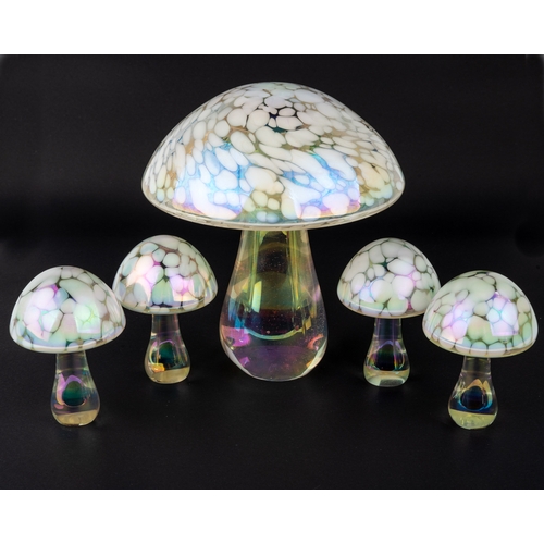 485 - A set of five iridescent glass mushrooms, tallest 15cm, other four 8cm high (5)