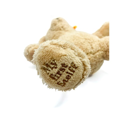 258 - A modern Steiff blonde bear, 'My First Steiff' embroidered to foot, button and label to ear.