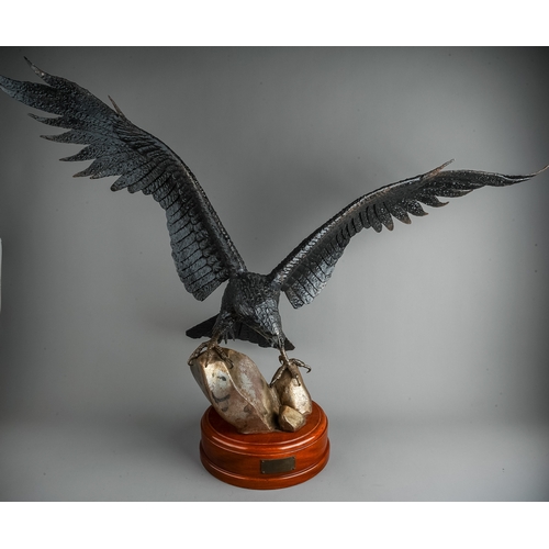 367 - Roy Whitmore : a patinated welded steel sculpture of an eagle with wings outstretched landing on roc... 