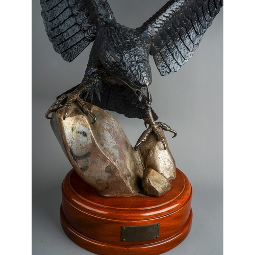 367 - Roy Whitmore : a patinated welded steel sculpture of an eagle with wings outstretched landing on roc... 