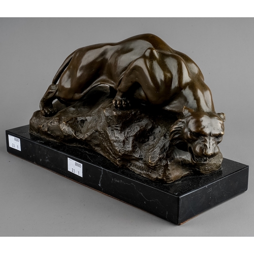 593 - Giacomo Merculiano (1859-1935), a bronze of a crouching snow tiger on rocks signed Merculiano and nu... 