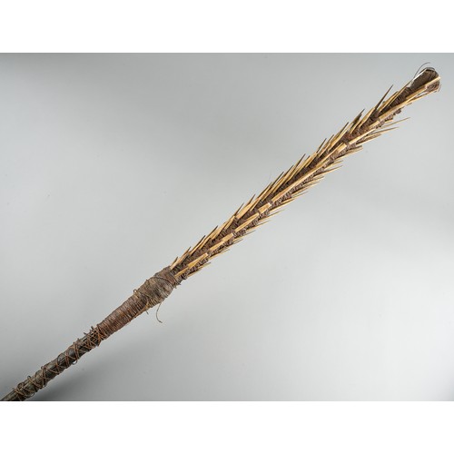 634 - Antique Polynesian South Sea Islands Barbed Spear.  Multiple bone barbs bound to the shaft with senn... 