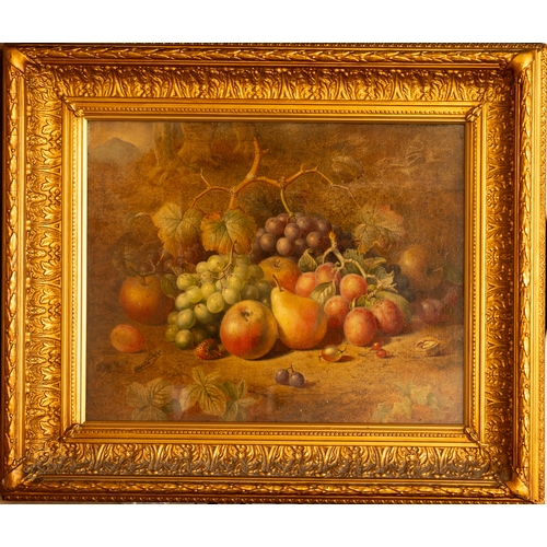 642 - Charles Archer (1855-1931), still life with grapes, apples, plums and pear, oil on canvas, approx 39... 