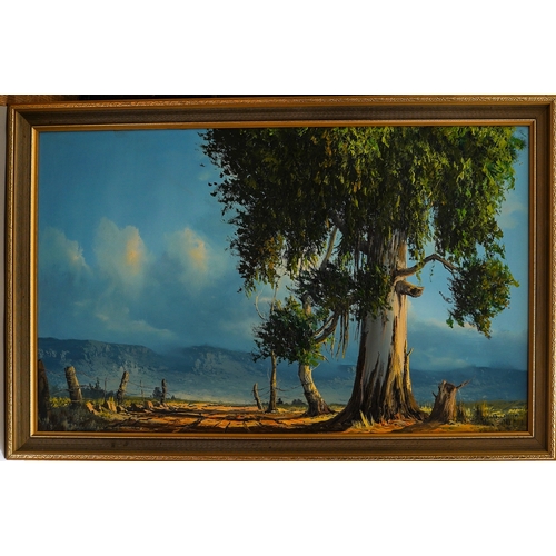 655 - South African (20th Century), Landscape, oil on board, 30 x 45cm, signed lower Pieferken? left and d... 