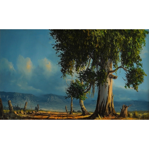 655 - South African (20th Century), Landscape, oil on board, 30 x 45cm, signed lower Pieferken? left and d... 