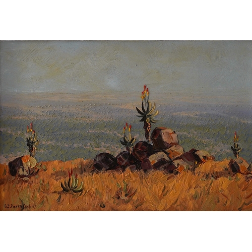 655 - South African (20th Century), Landscape, oil on board, 30 x 45cm, signed lower Pieferken? left and d... 