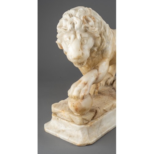 631 - A pair of 18th / 19th century grand tour carved alabaster Medici lions, on separate plinths, each ap... 