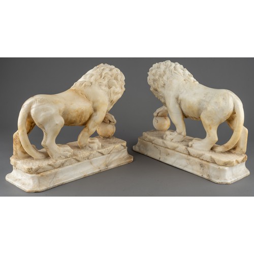 631 - A pair of 18th / 19th century grand tour carved alabaster Medici lions, on separate plinths, each ap... 