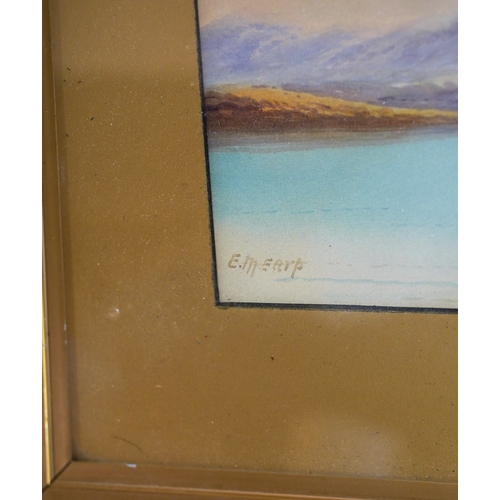 202 - E M Earp (early 20th Century)
Loch view
watercolour laid on board, 18.5 x 44cm 
signed lower left, f... 