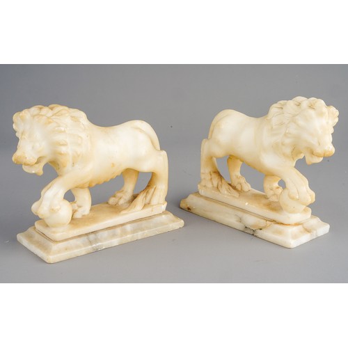 536 - Grand Tour: a pair of carved alabaster Medici Lions after the Antique by Flaminio Vacca in Loggia de... 