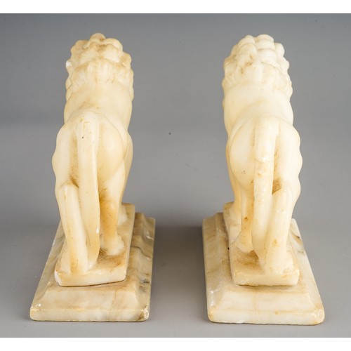 536 - Grand Tour: a pair of carved alabaster Medici Lions after the Antique by Flaminio Vacca in Loggia de... 