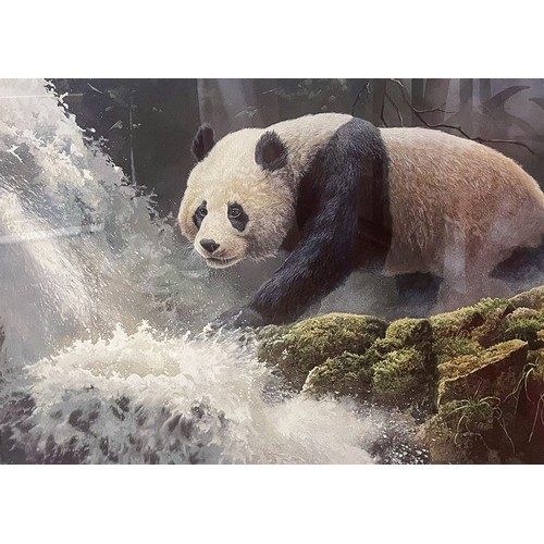 Adrian Rigby (b.1962) Panda at weir colour print, 40 x 54cm signed in ...