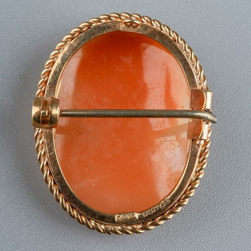 29 - A 9ct gold and shell cameo brooch, carved depicting the portrait of a lady, in a gold mount, gross w... 