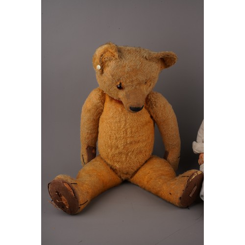 351 - A vintage large Chad Valley growler bear golden mohair, with one orange and black glass eye, pronoun... 