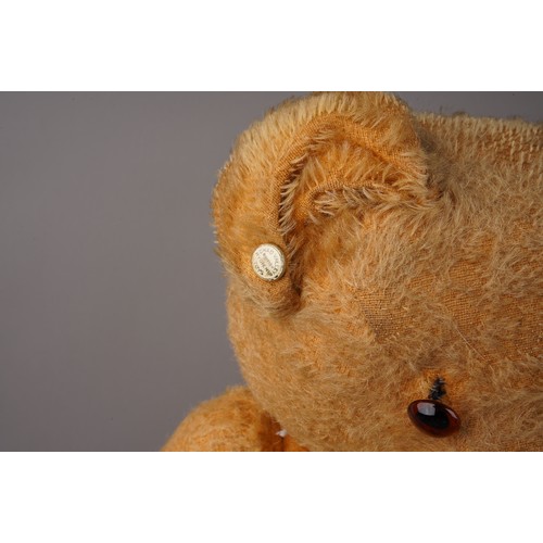 351 - A vintage large Chad Valley growler bear golden mohair, with one orange and black glass eye, pronoun... 