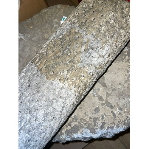 99 - A fossil section of tree trunk approx. 15 inches across, with a fossilized branch section approx. 14... 