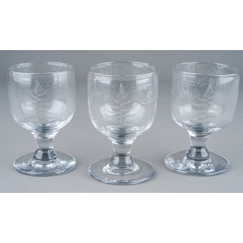 504 - A set of three etched commemorative goblets with inscriptions which read: Victoria Hall Disaster Jun... 