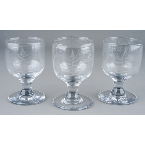 504 - A set of three etched commemorative goblets with inscriptions which read: Victoria Hall Disaster Jun... 