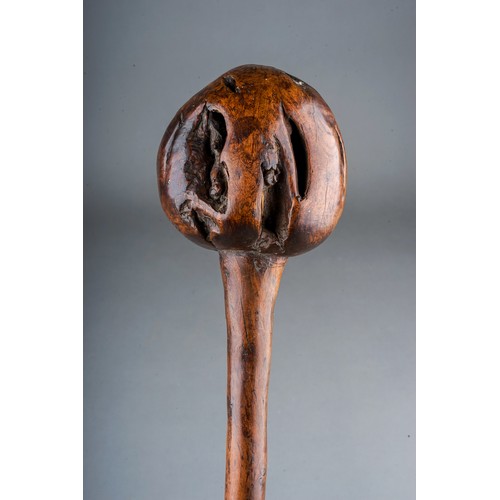 512 - Antique tribal art Fijian Ula throwing club 19th Century.  Length 42cm