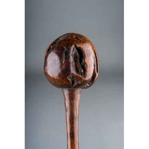 512 - Antique tribal art Fijian Ula throwing club 19th Century.  Length 42cm