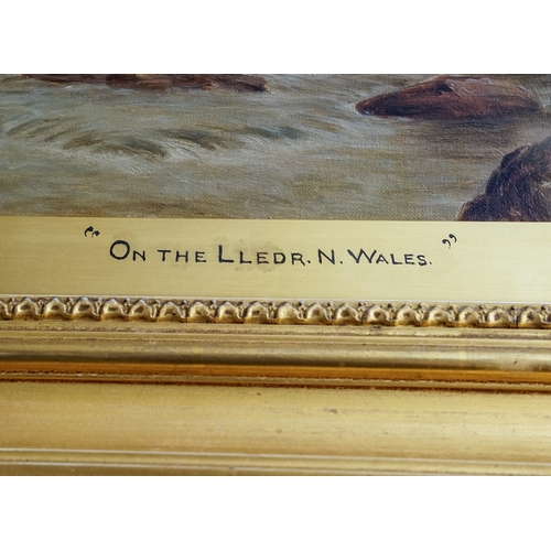 534 - David Horatio Winder (Bolton, Lancashire 1855-1930)
On the Leddr, N Wales (with figures fishing)
oil... 