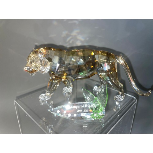 580 - A Swarovski Crystal Club tinted crystal figure of a Tiger from the Endangered Wildlife series, boxed... 