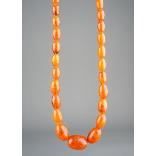 24 - A single strand of graduated amber beads, approx 77cm long, smallest bead approx 1.6cm, longest bead... 