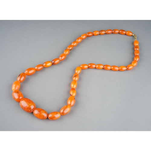 24 - A single strand of graduated amber beads, approx 77cm long, smallest bead approx 1.6cm, longest bead... 