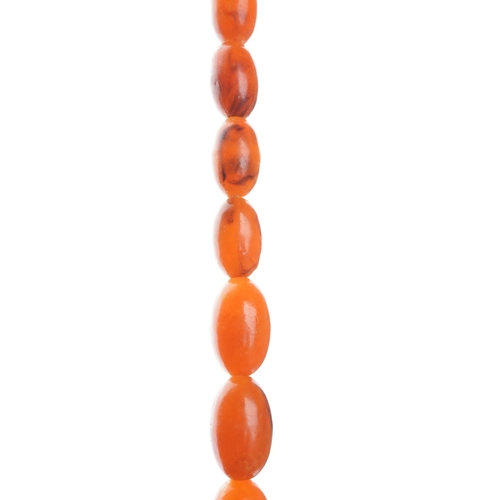 24 - A single strand of graduated amber beads, approx 77cm long, smallest bead approx 1.6cm, longest bead... 