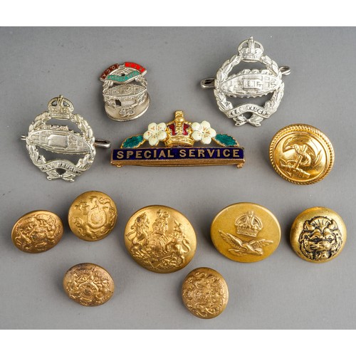 323 - Militaria: a Primrose League bar badge; three white metal Royal Tank Regiment badges and eight assor... 