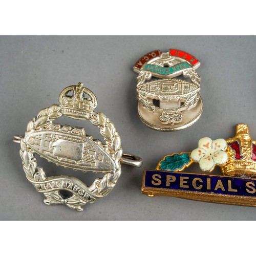 323 - Militaria: a Primrose League bar badge; three white metal Royal Tank Regiment badges and eight assor... 